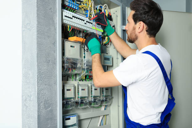 Best Electrician for Home Renovation  in Mount Vernon, MD